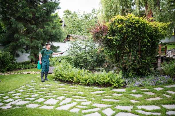Best Wildlife Control Services  in Corte Madera, CA