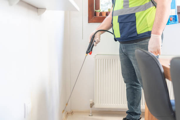 Trusted Corte Madera, CA Pest Control Experts
