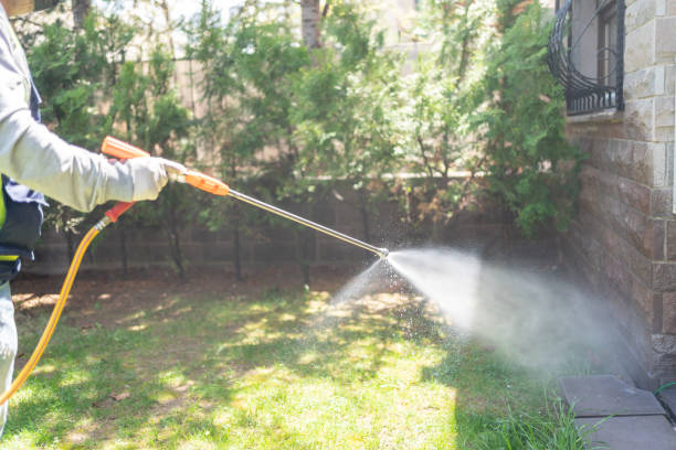 Bird Control in Corte Madera, CA