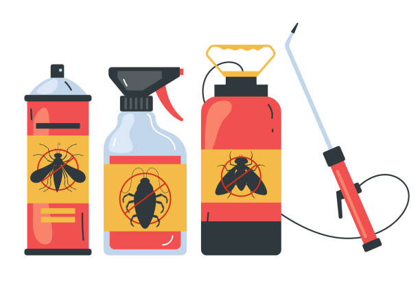 Best Flea Control Services  in Corte Madera, CA