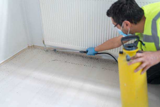 Best Commercial Pest Control Services  in Corte Madera, CA